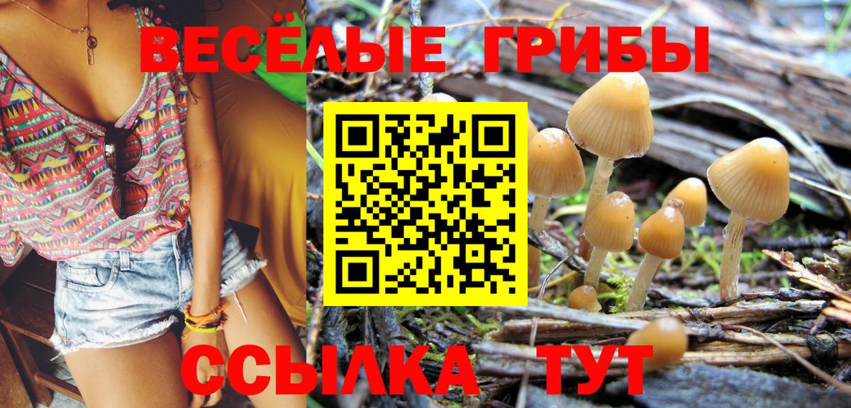 Галлюциногенные грибы MAGIC MUSHROOMS  Псилоцибиновые грибы GOLDEN TEACHER  Вход с VPN  Невинномысск 